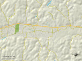 Political Map of Teays Valley, WV Prints