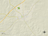 Political Map of York, AL Prints