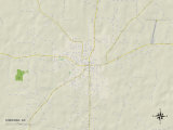 Political Map of Sheridan, AR Prints