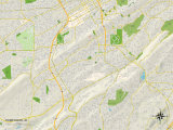 Political Map of Homewood, AL Prints