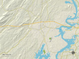 Political Map of Pell City, AL Photo