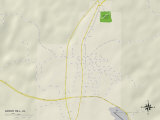 Political Map of Grove Hill, AL Prints