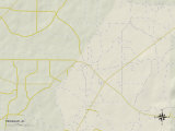 Political Map of Henagar, AL Posters