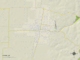 Political Map of Wynne, AR Posters