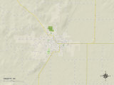 Political Map of Piggott, AR Posters