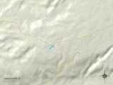Political Map of Shingletown, CA Prints