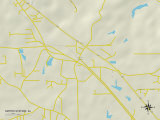 Political Map of Smiths Station, AL Prints
