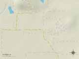 Political Map of Talmage, CA Prints