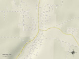 Political Map of Winlock, WA Posters