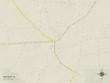 Political Map of Malvern, AL Prints