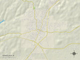 Political Map of Russellville, AL Prints