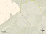 Political Map of Newton, AL Posters