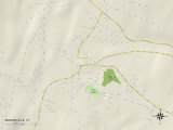 Political Map of Morrisville, VT Prints