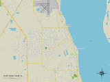 Political Map of Port Saint John, FL Poster