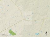 Political Map of Webb, AL Poster