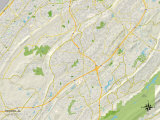 Political Map of Hoover, AL Posters