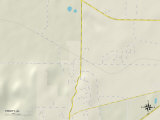 Political Map of Trinity, AL Prints