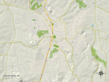 Political Map of Castle Rock, CO Prints