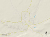 Political Map of Tuba City, AZ Posters