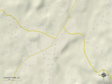Political Map of Locust Fork, AL Print