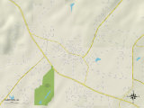 Political Map of Sumiton, AL Prints