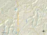 Political Map of Warrior, AL Print