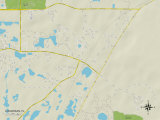 Political Map of Loughman, FL Prints
