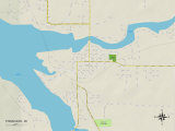 Political Map of Tomahawk, WI Posters
