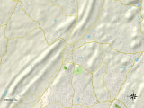 Political Map of Pinson, AL Posters
