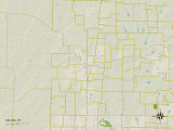 Political Map of Celina, TX Poster