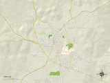 Political Map of Troy, AL Posters