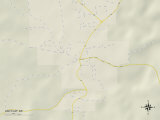 Political Map of Ash Flat, AR Poster