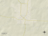 Political Map of Stephens, AR Posters