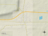 Political Map of Atkins, AR Prints