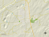 Political Map of Calera, AL Poster
