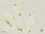 Political Map of Lamesa, TX Posters