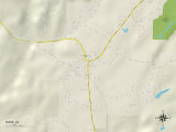 Political Map of Dora, AL Prints