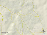 Political Map of Forestdale, AL Photo