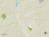 Political Map of Americus, GA Posters