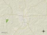 Political Map of Nashville, AR Posters