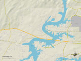 Political Map of Riverside, AL Posters