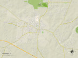 Political Map of Marianna, FL Posters