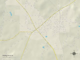 Political Map of Hanceville, AL Posters