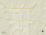Political Map of Bonifay, FL Prints