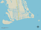 Political Map of Saint James City, FL Posters