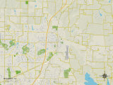 Political Map of McKinney, TX Poster