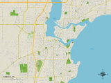 Political Map of Neenah, WI Posters