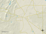 Political Map of Harpersville, AL Poster