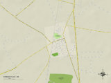 Political Map of Bridgeville, DE Photo