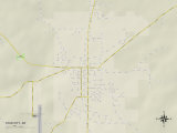 Political Map of Star City, AR Prints